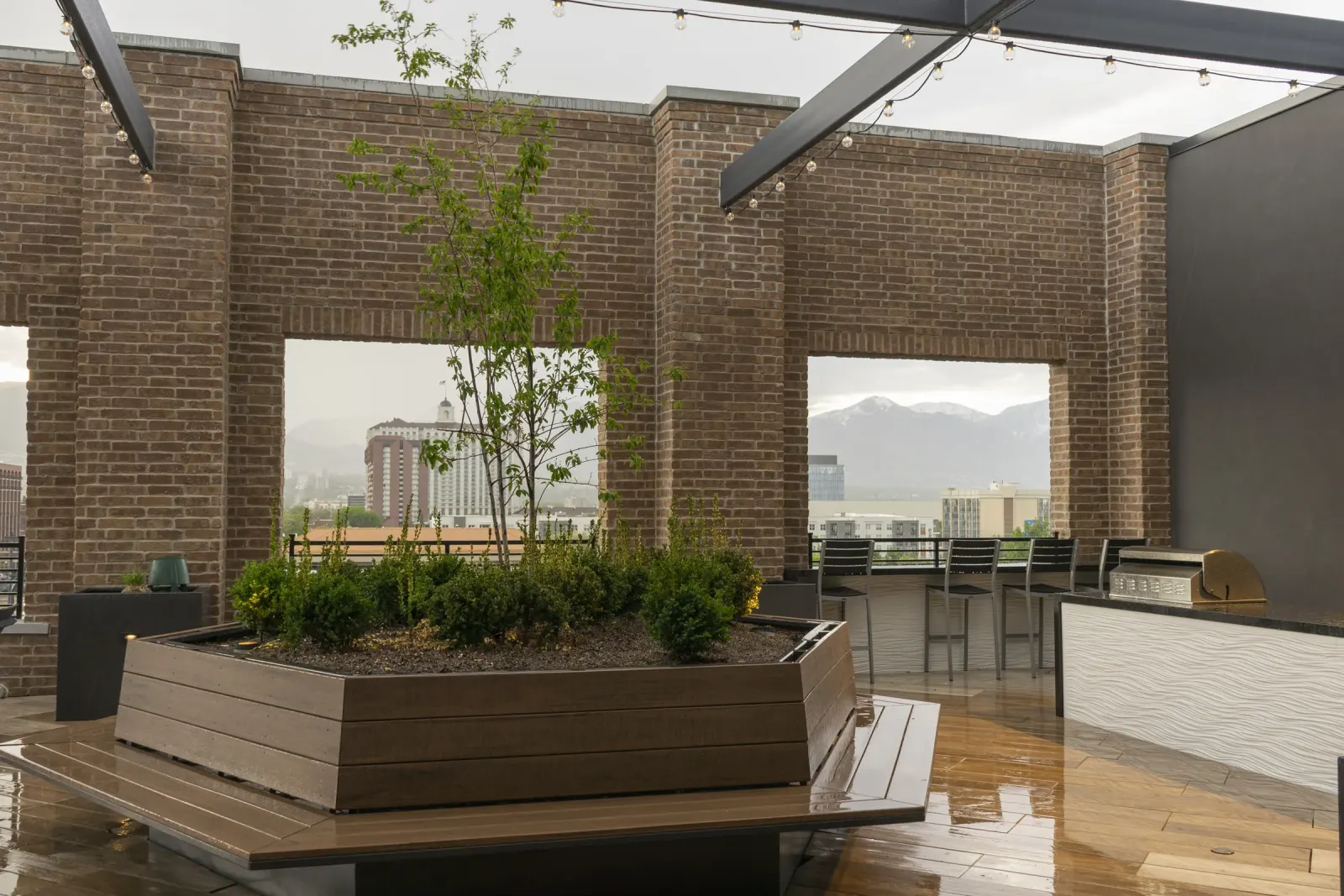 Post House rooftop kitchen, hexagonal planter, and framed mountain view